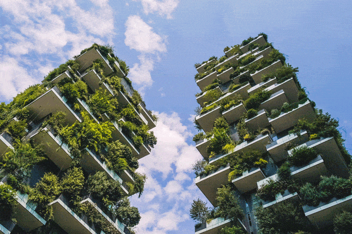 block of flats forest growth